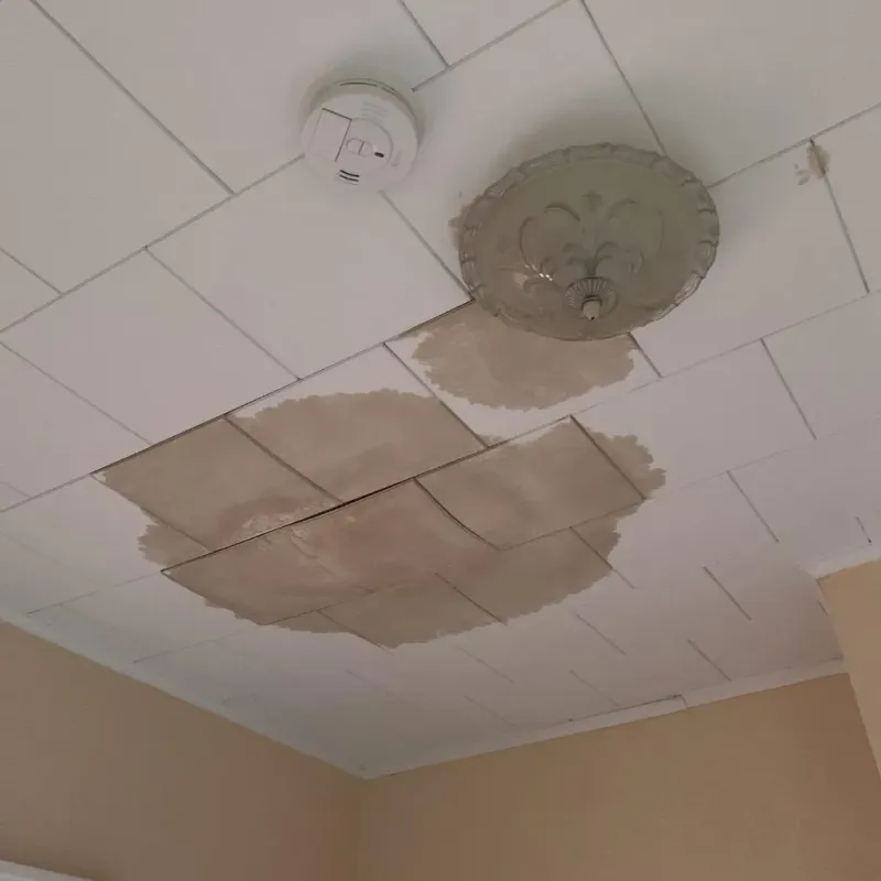 Ceiling Water Damage Repair in Imlay City, MI