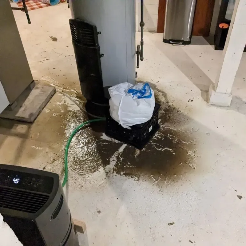 Sewage Backup Cleanup Service in Imlay City, MI